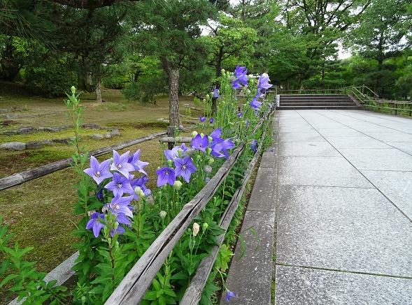 智積院と水火天満宮_b0299042_7321653.jpg