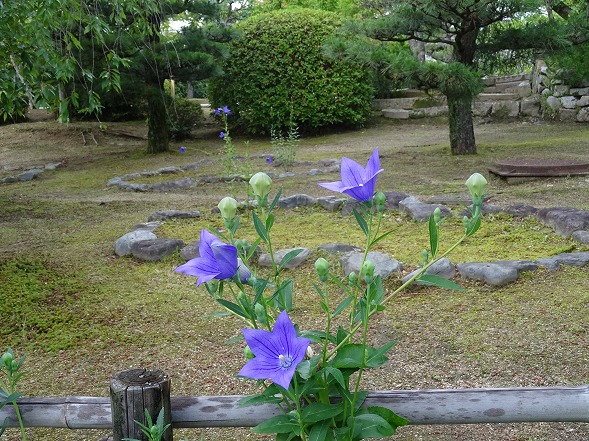 智積院と水火天満宮_b0299042_7322163.jpg