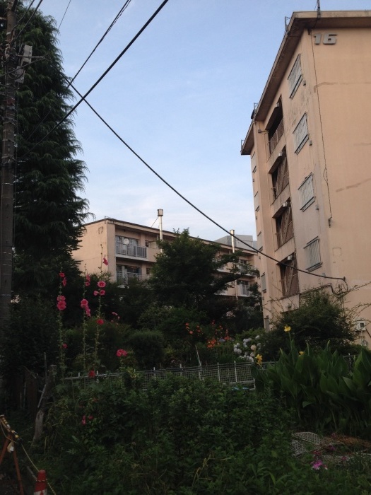 c0182843_09084942.jpg