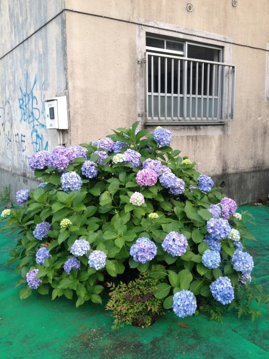 c0182843_09093956.jpg