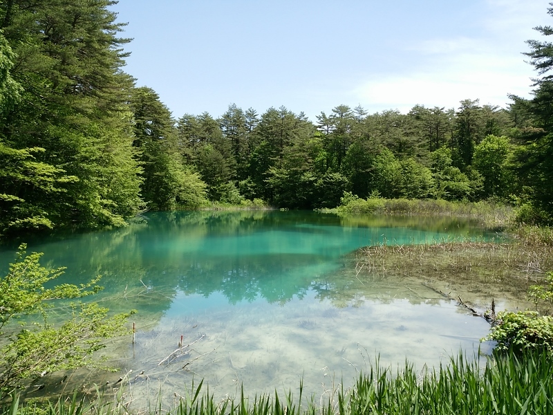 裏磐梯ウォーク　瑠璃沼と青沼　＠福島県北塩原村_f0048546_06142938.jpg