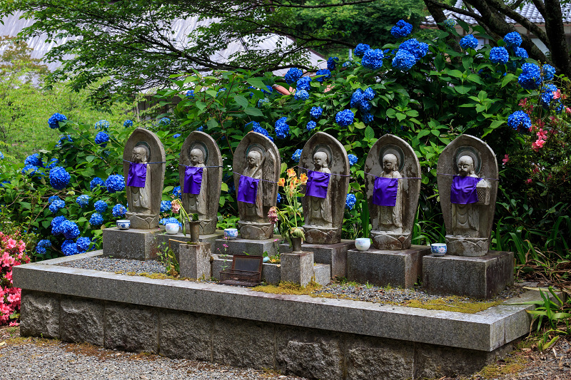 東光院・紫陽花とサツキ_f0155048_22102894.jpg