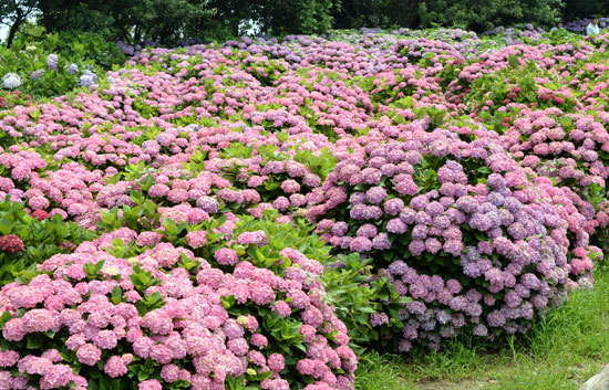 b0016557_21361151.jpg