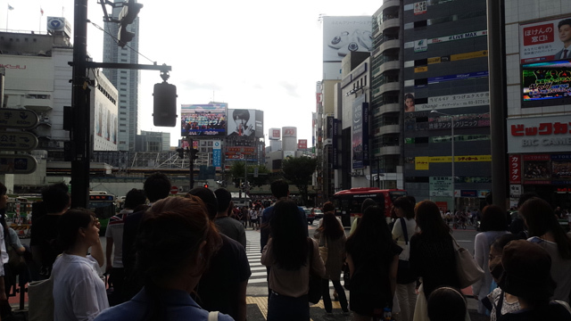 太陽祭2015　銀座赤坂六本木渋谷_c0337257_18522151.jpg