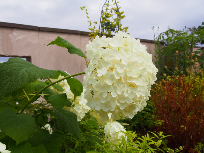 当たらない天気予報●～*_b0194267_204326100.jpg