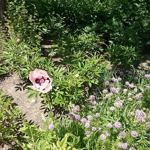 c0311170_142335100.jpg