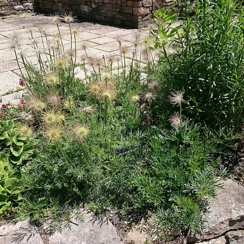 c0311170_14235316.jpg
