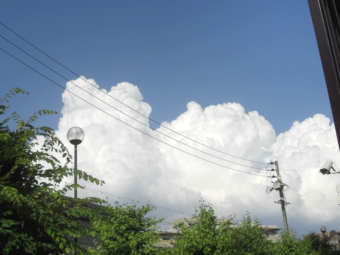 c0095679_17323499.gif