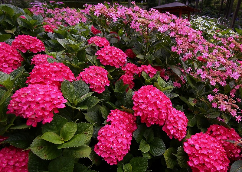 a0105680_3395695.jpg