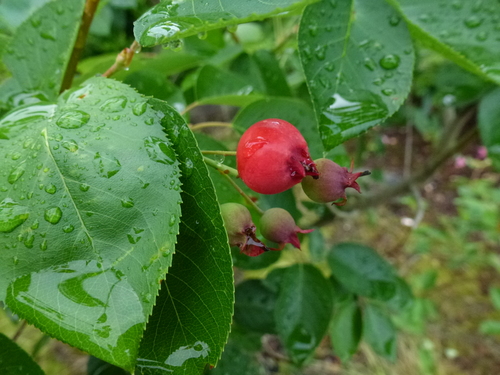 d0263787_14113273.jpg