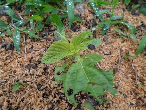 d0263787_14152575.jpg