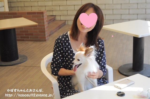 猫みたい_a0126590_22570611.jpg