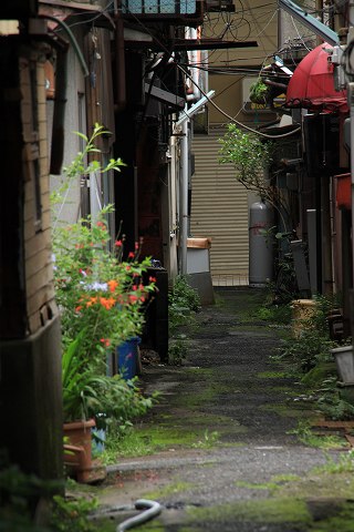 a0222494_1715968.jpg