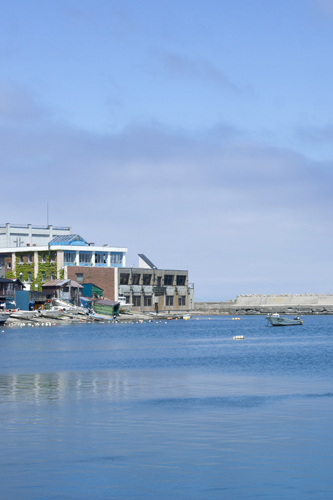 f0003598_20333176.jpg