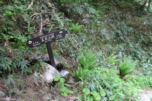 a0320601_19590838.jpg