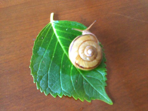 a0291602_11391757.jpg