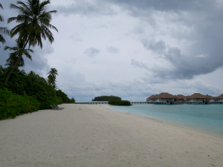 e0338303_9105165.jpg
