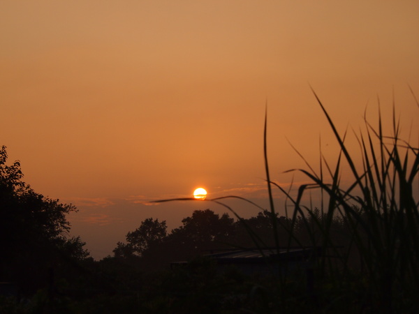 d0048812_9185511.jpg