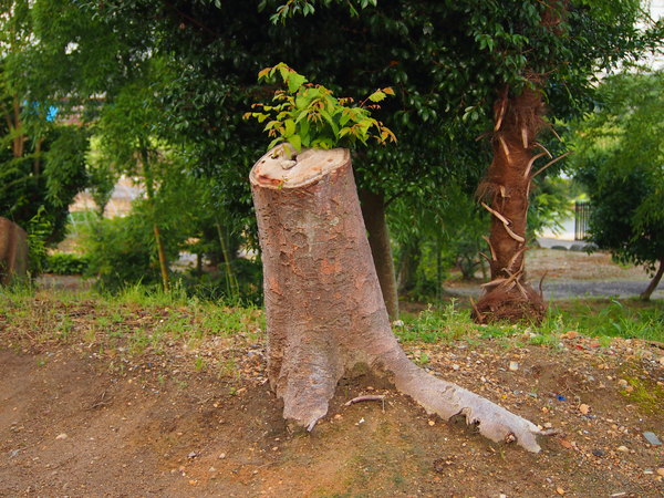 d0048812_9211876.jpg