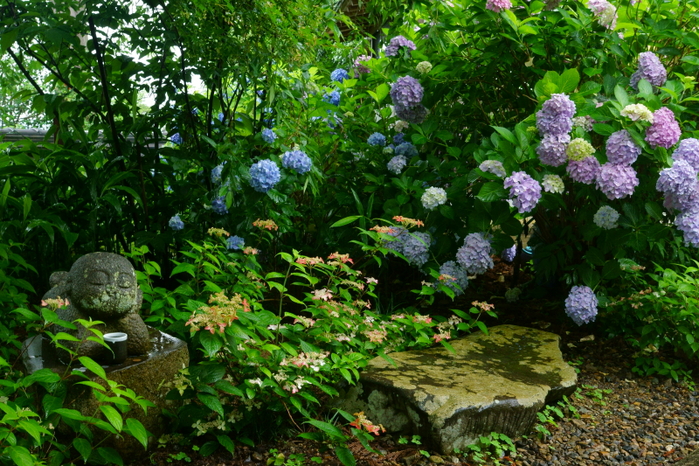 丹州観音寺_e0177413_1057398.jpg