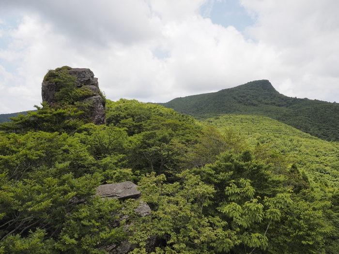 吉和冠山登山とオオヤマレンゲ_c0116915_0214377.jpg