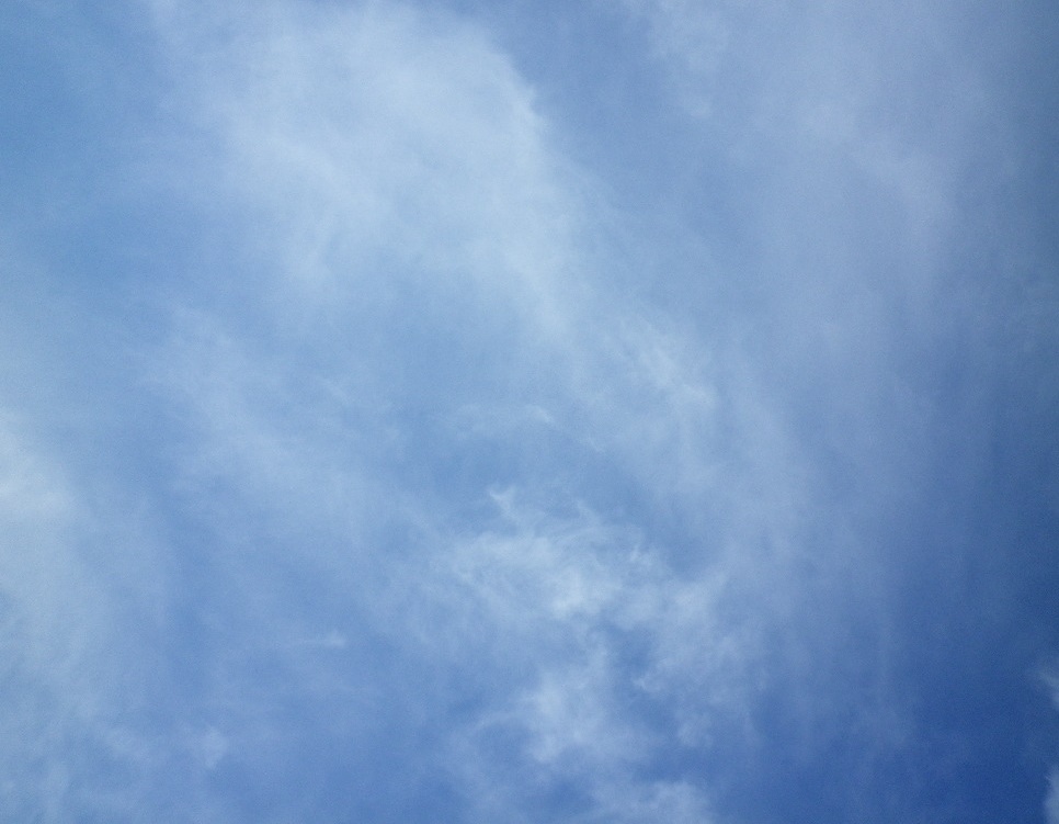 e0052716_10515030.jpg