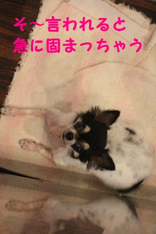 のっぱら♪_b0130018_23173441.jpg