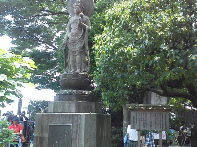 ●鎌倉でアジサイ・・・鎌倉長谷寺（２）_a0268821_23043400.jpg