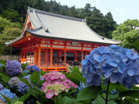 摂津国88ヶ所遍路-54勝尾寺_e0008223_22033141.jpg