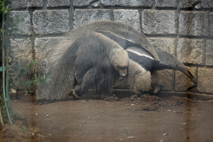 f0224624_1812590.jpg