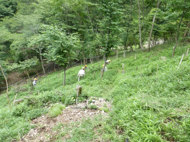 d0024426_93526.jpg