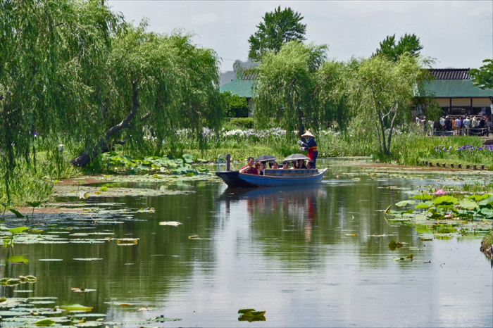 千葉県香取市佐原　「水生植物園 アヤメ祭り」（２）_d0106628_04464814.jpg