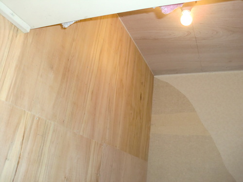 佐伯区 F様邸・トイレ改修工事_d0125228_1011213.jpg