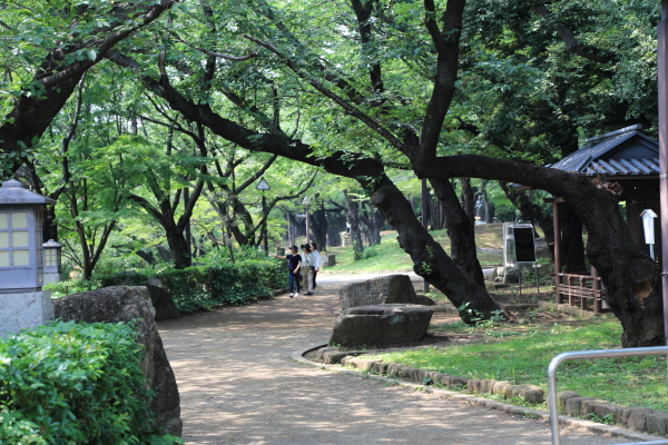 f0229832_15294545.jpg