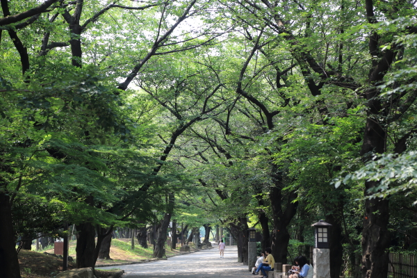 f0229832_15302368.jpg