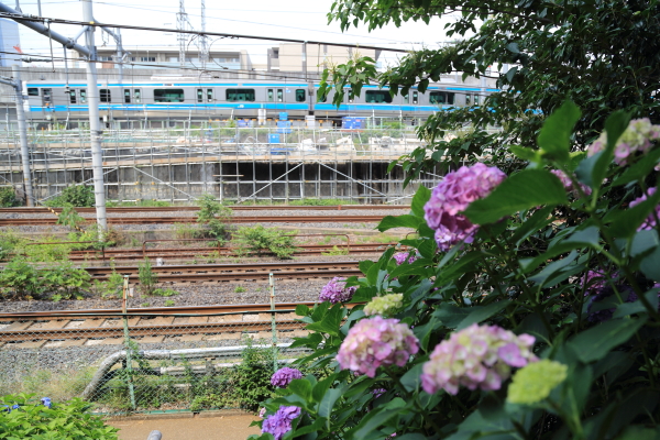 f0229832_15351256.jpg
