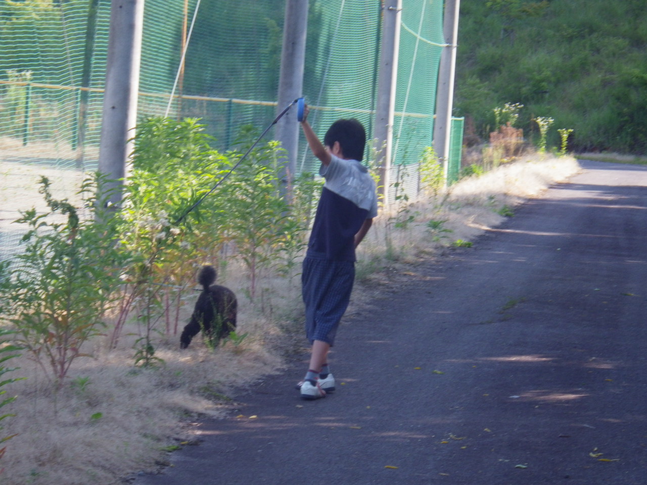 チドル・ＡＯ君とお散歩です。_c0300035_949279.jpg