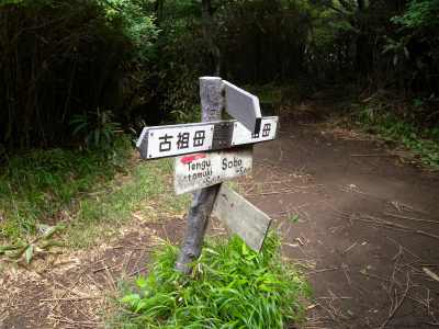 祖母山＆障子岳＆古祖母山でオオヤマレンゲを楽しむ！_e0272335_45463.jpg