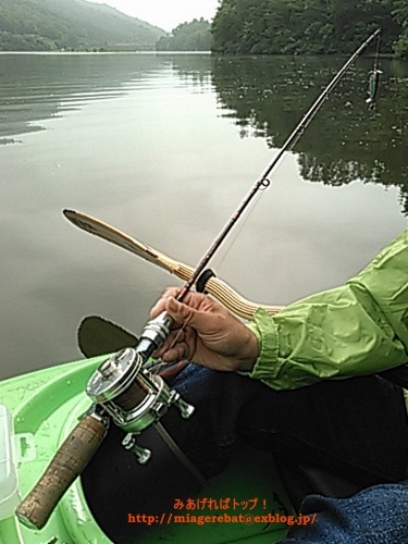 f0335637_20160507.jpg