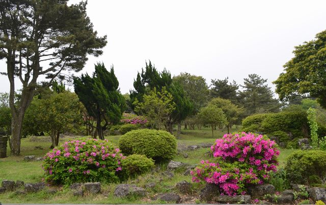 チエジュ島の観光 _e0098241_15202426.jpg