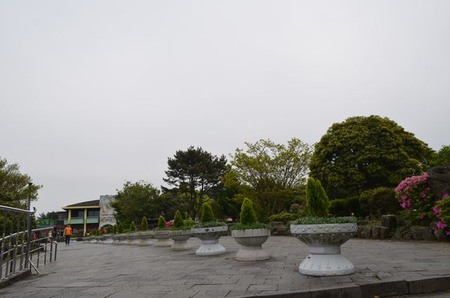 チエジュ島の観光 _e0098241_1520298.jpg