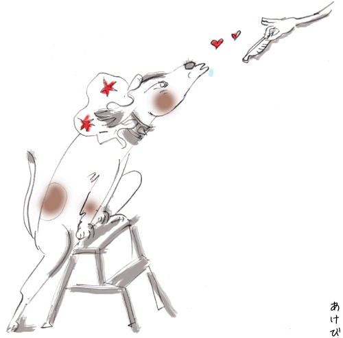 b0346851_21173015.gif