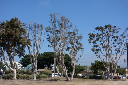 f0326751_15393155.jpg