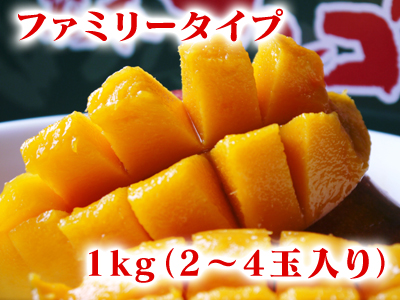 完熟アップルマンゴー 完熟マンゴーへのこだわりと発送日について!_a0254656_19215686.jpg