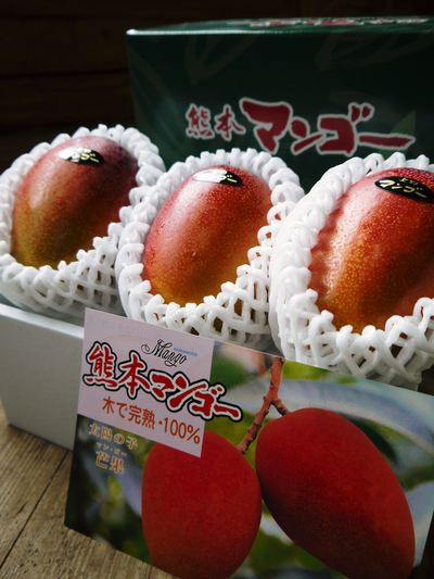 完熟アップルマンゴー 完熟マンゴーへのこだわりと発送日について!_a0254656_19513284.jpg