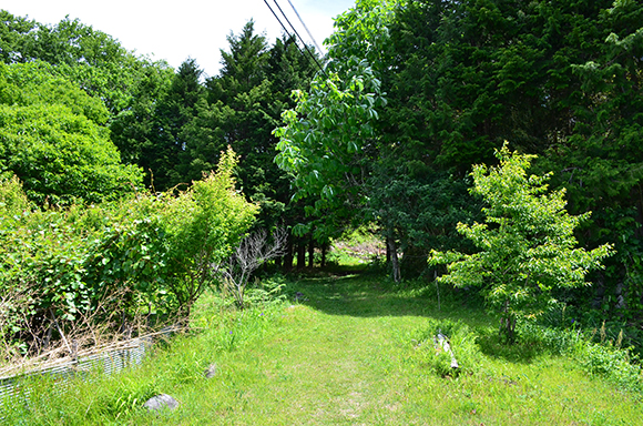 中山道木曽路　福島宿から宮ノ越宿を行く_e0164563_9163232.jpg