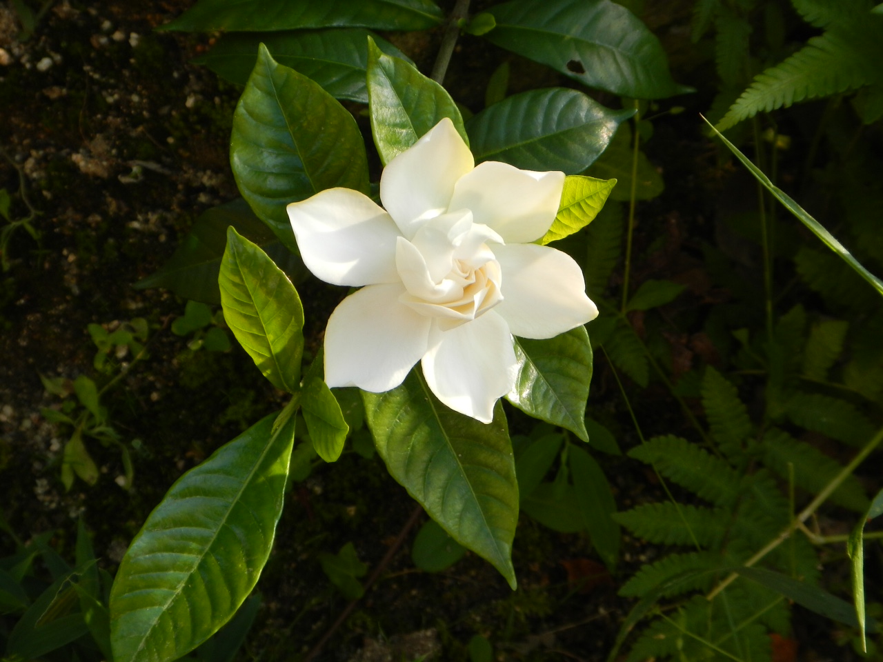 f0256164_15445670.jpg