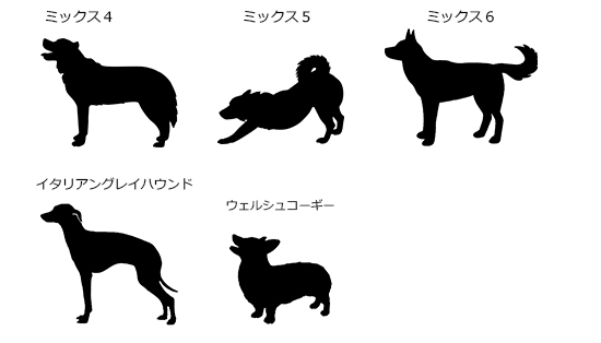 贅沢品 シルエット 犬 Mix犬 猫 その他 Www Bazelinternationalltd Com