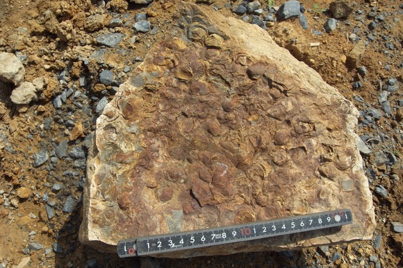 e0208576_92971.jpg