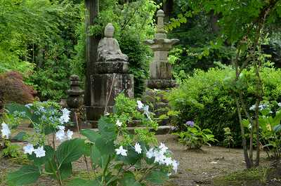 法道寺_c0229483_1839194.jpg